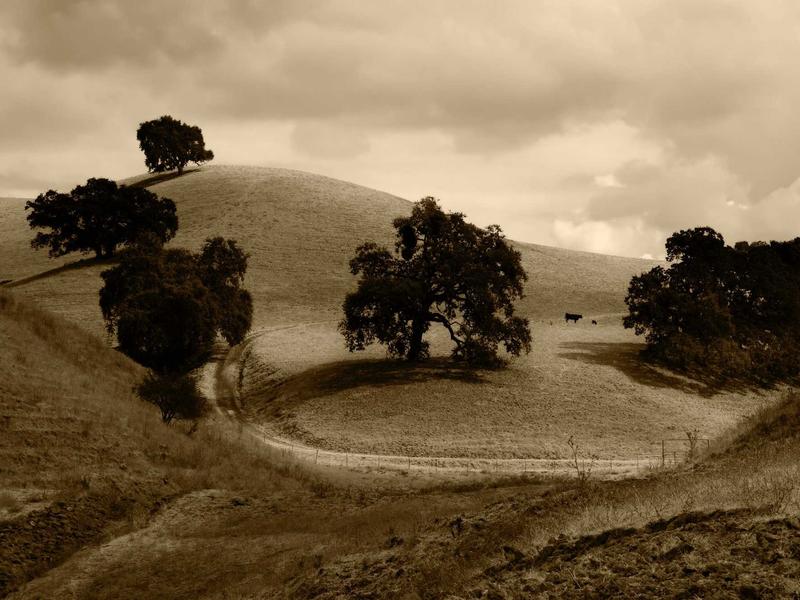 sudoku forcing chains screenshot 6