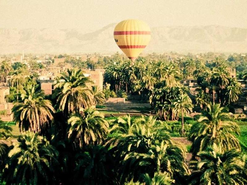 sudoku forcing chains screenshot 4