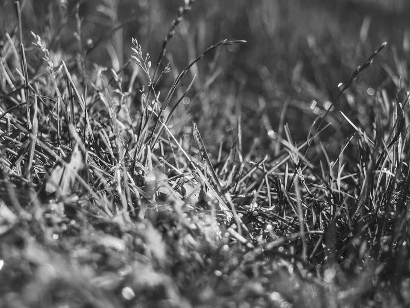 sudoku relaxation mode screenshot 1